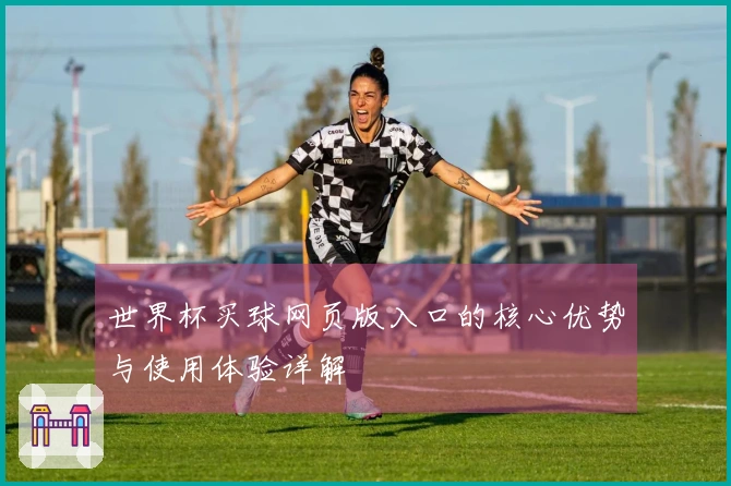 世界杯买球网页版入口的核心优势与使用体验详解