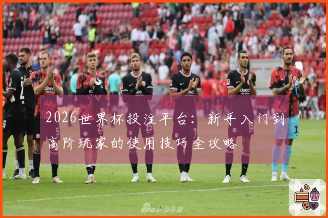 2026世界杯投注平台:新手入门到高阶玩家的使用技巧全攻略