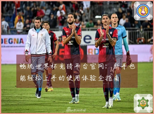 畅玩世界杯竞猜平台官网：新手也能轻松上手的使用体验全指南