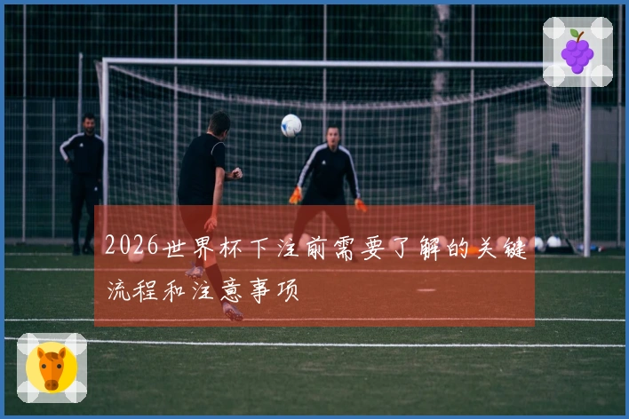 2026世界杯下注前需要了解的关键流程和注意事项