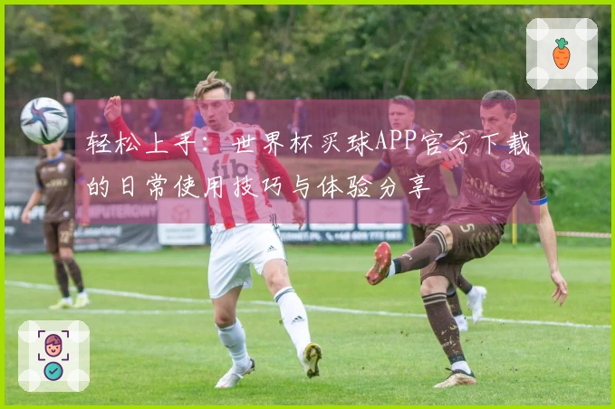 轻松上手:世界杯买球APP官方下载的日常使用技巧与体验分享