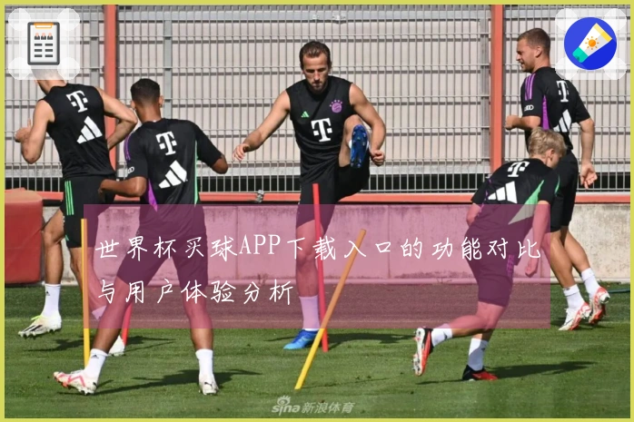 世界杯买球APP下载入口的功能对比与用户体验分析