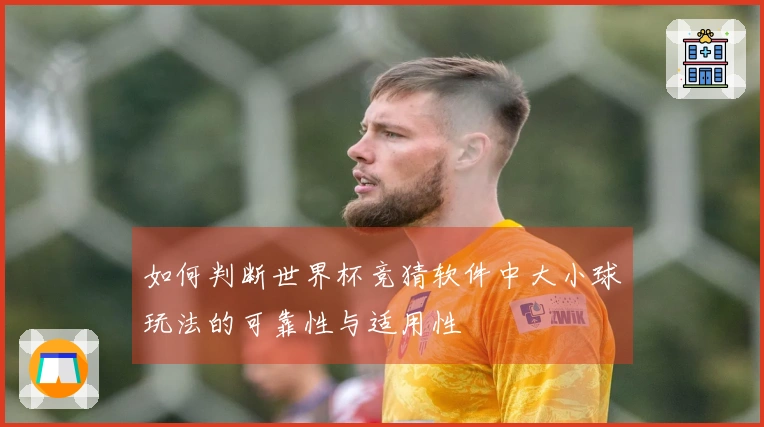 如何判断世界杯竞猜软件中大小球玩法的可靠性与适用性
