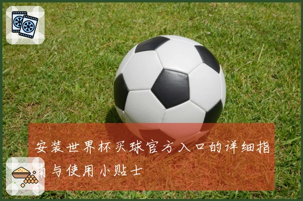 安装世界杯买球官方入口的详细指南与使用小贴士