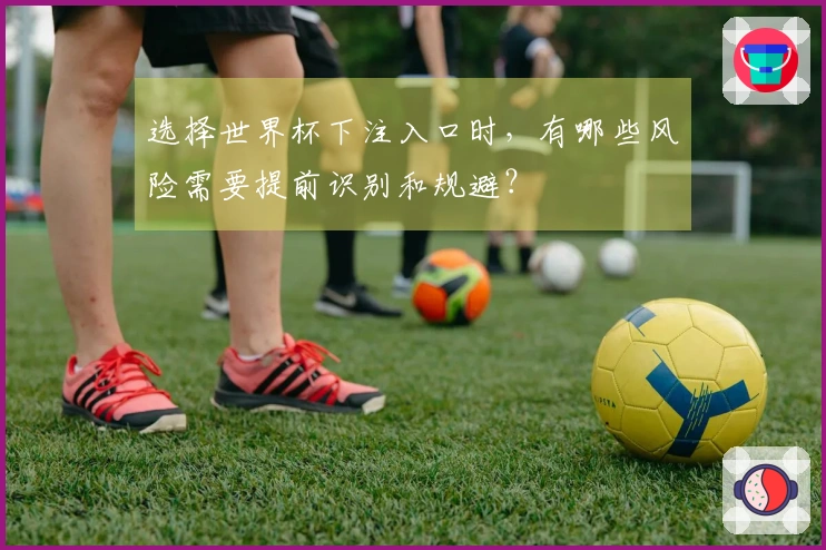 选择世界杯下注入口时,有哪些风险需要提前识别和规避?