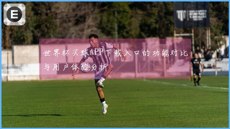 世界杯买球APP下载入口的功能对比与用户体验分析