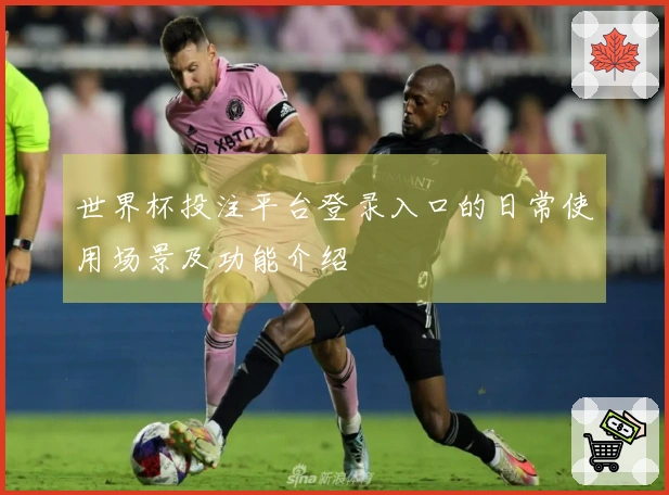 世界杯投注平台登录入口的日常使用场景及功能介绍