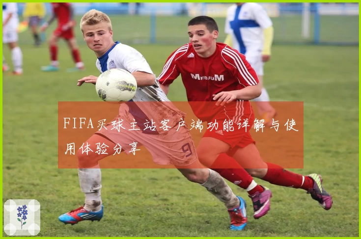 FIFA买球主站客户端功能详解与使用体验分享